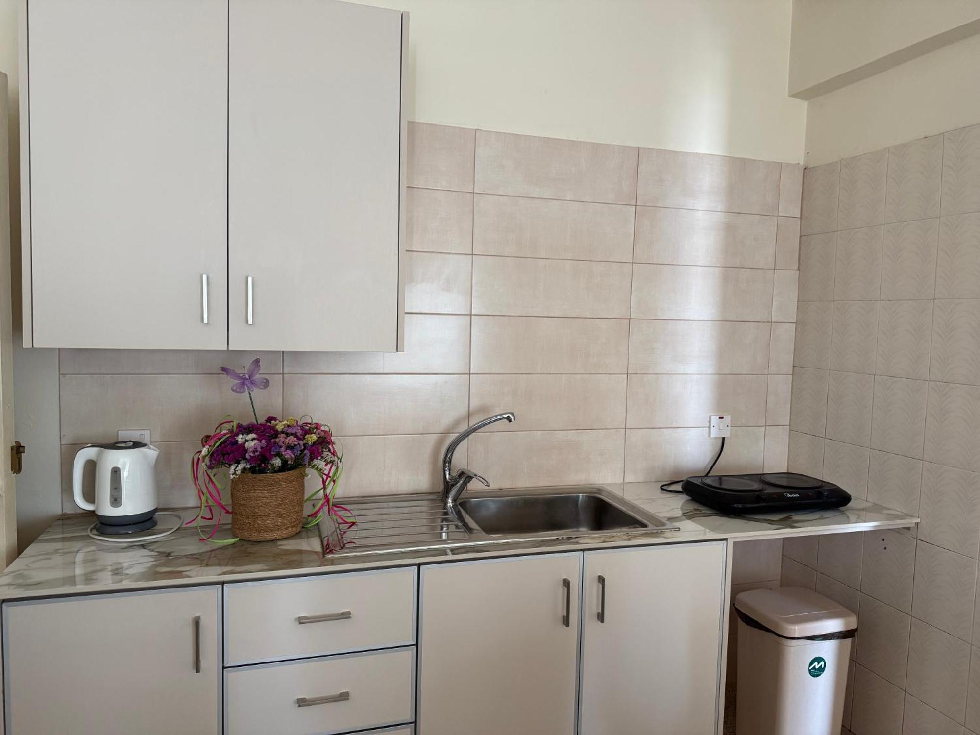 Terpsithea Apartments アヤナパ エクステリア 写真